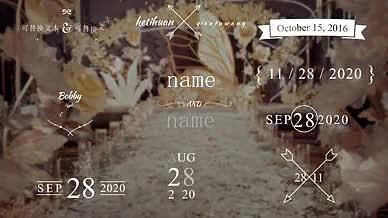 婚礼版式标题日期姓名预设模板视频的预览图